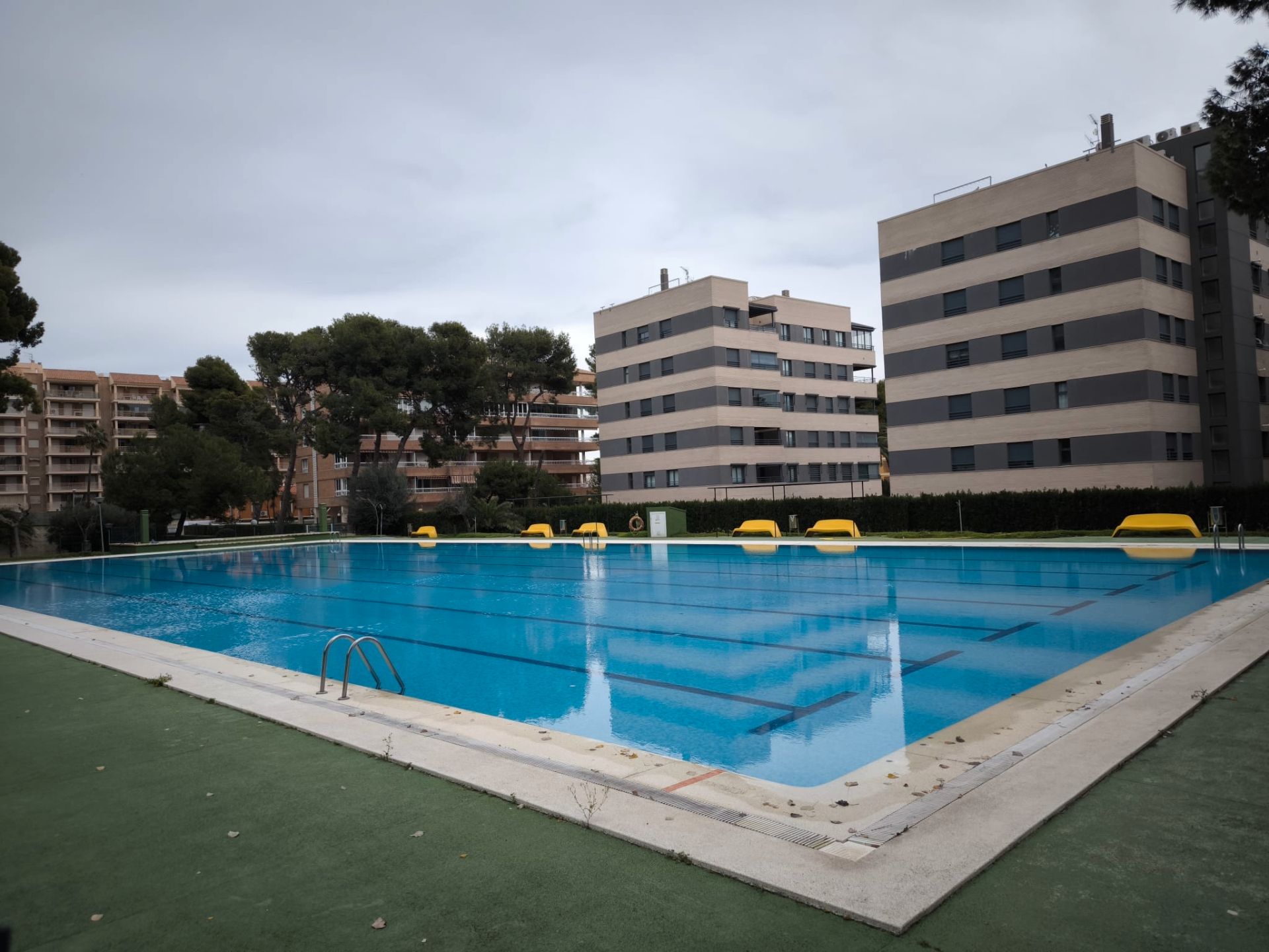 Swimming pool of Apartment to rent in Benicasim / Benicàssim  with Terrace, Furnished and Washing machine