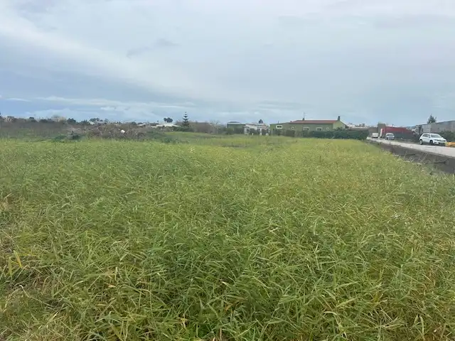 Rural land for sale in Fortaleny, imagen 2