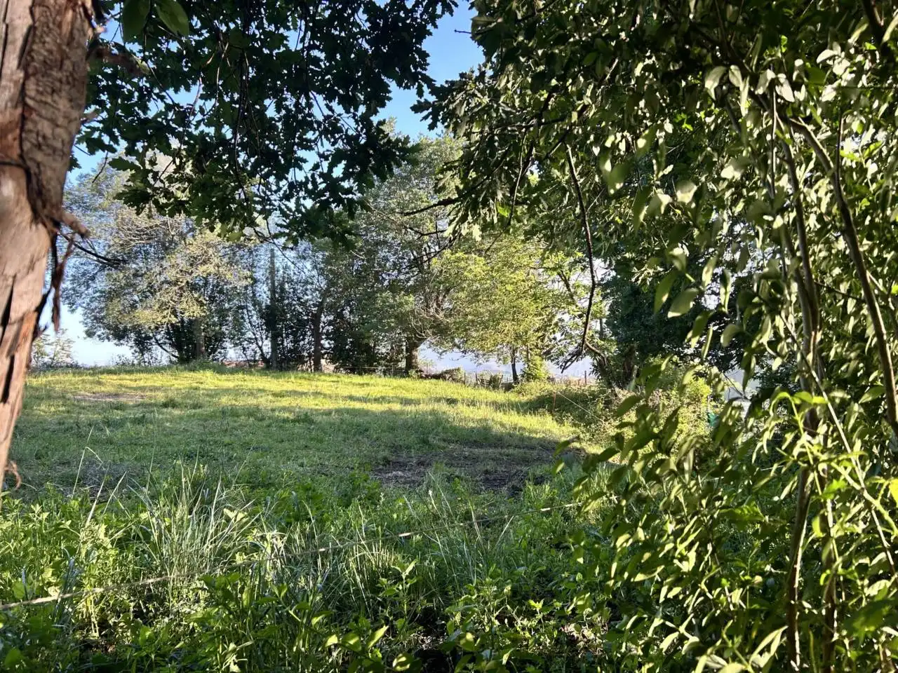 Residencial en venta en Oviedo 