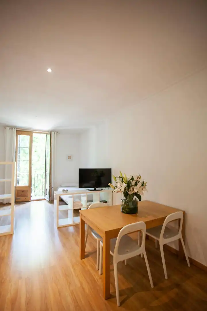 Sala de estar de Piso de alquiler en Barcelona con Aire acondicionado, Calefacción y Amueblado