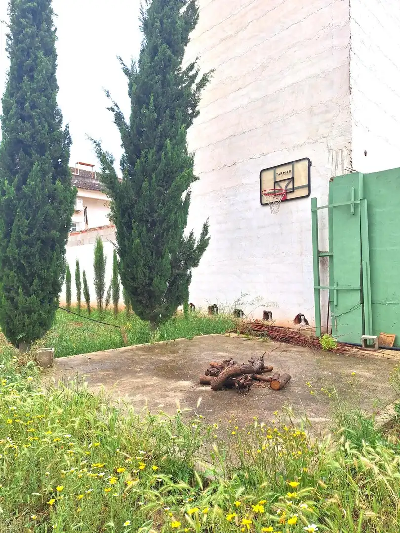 Country homes for sale in Sangonera la Seca