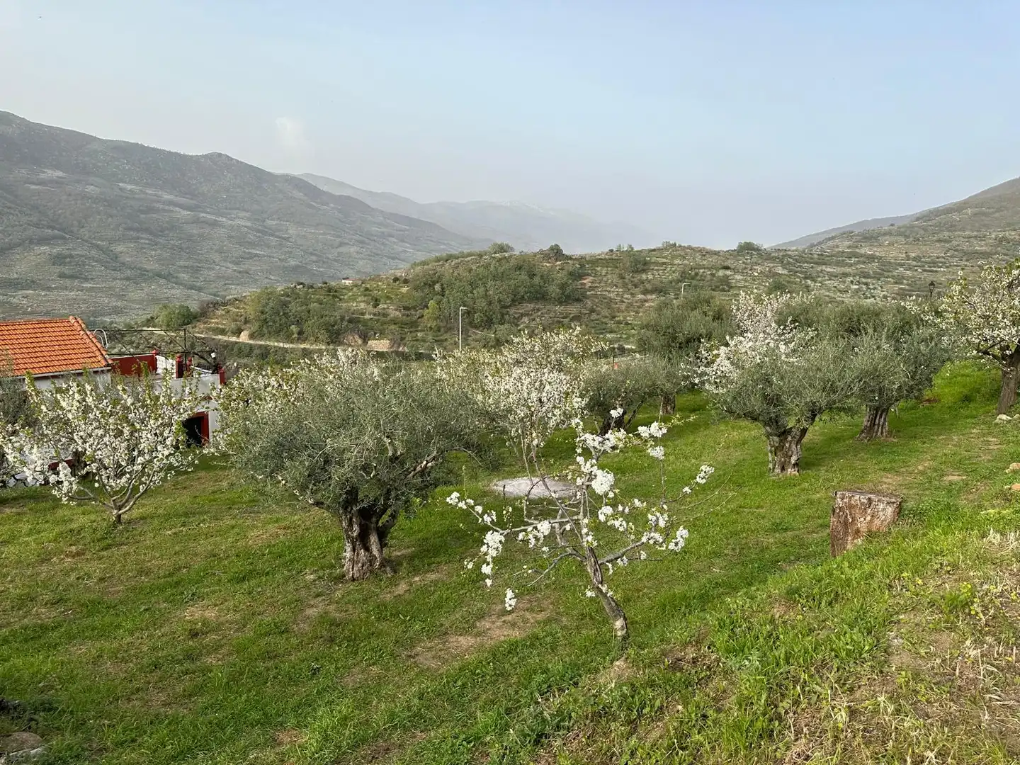 Garden of Residential for sale in Valdastillas