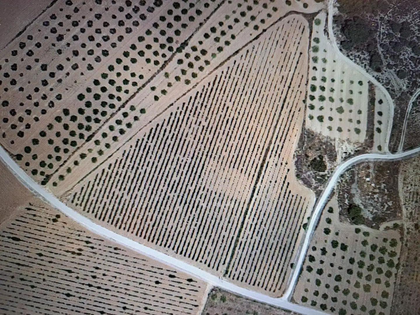 Terreno residencial en venta en El Pinós / Pinoso, imagen 6