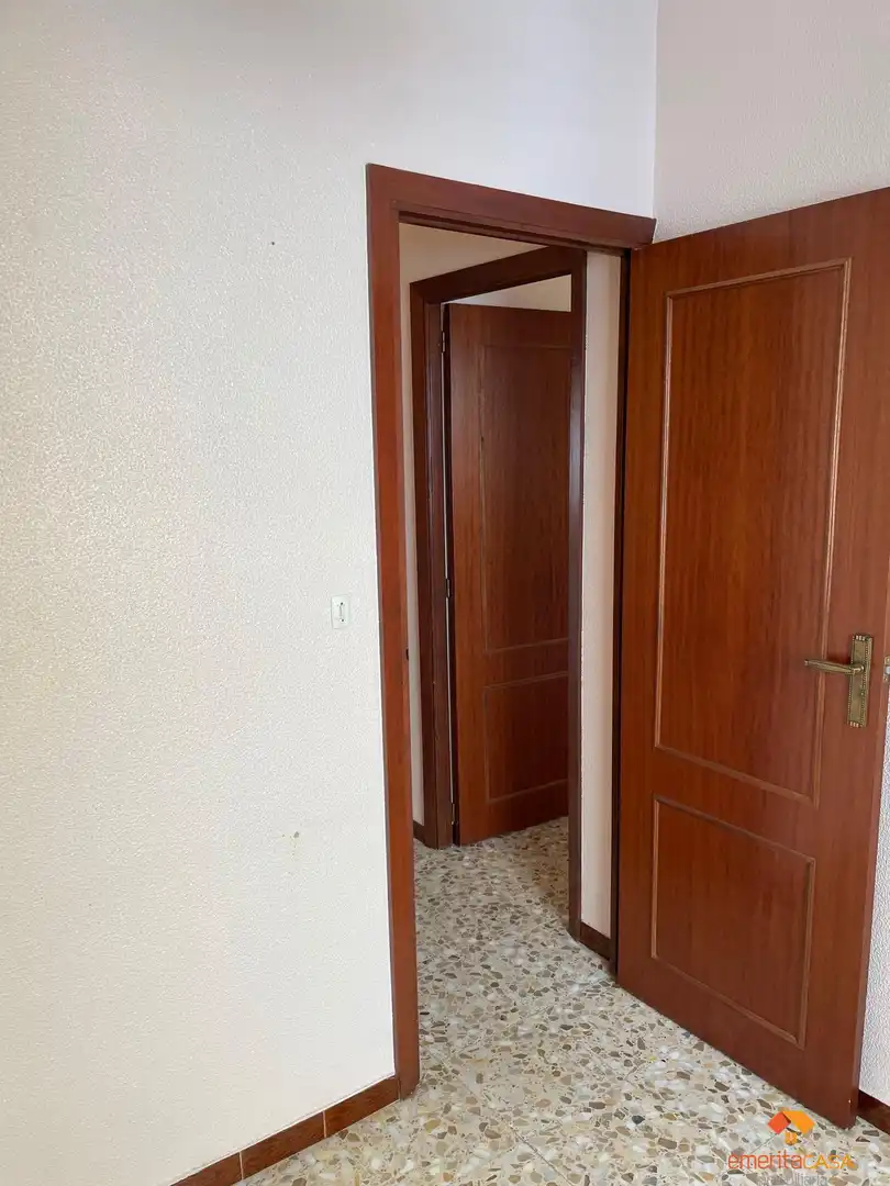 Casa o xalet en venda en Almendralejo