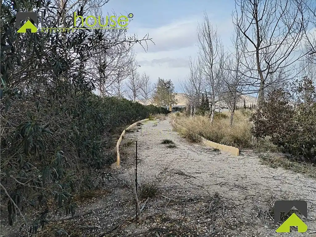Casa o xalet en venda en Lorca