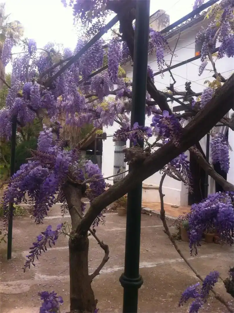 Vista exterior de Piso en venta en Dénia