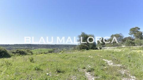 Foto 4 de Finca rústica en venta en Manacor Centre, Manacor