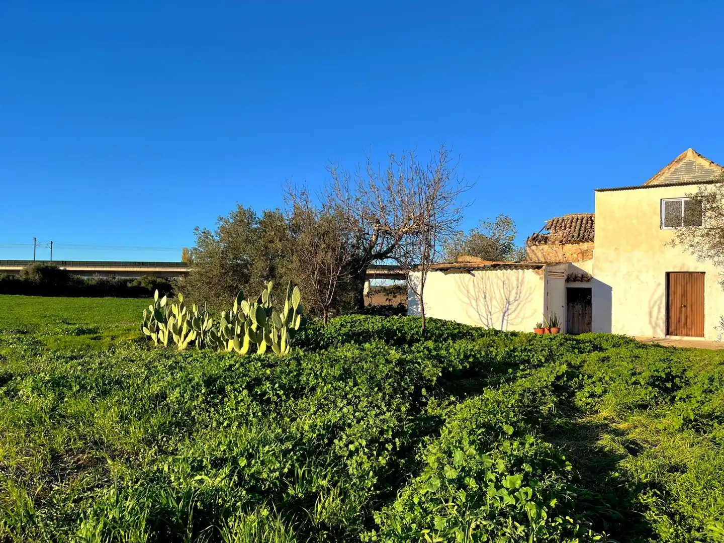 Garden of Houses for sale in Antequera