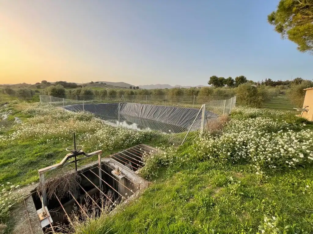 Rural land for sale in Balaguer, imagen 5