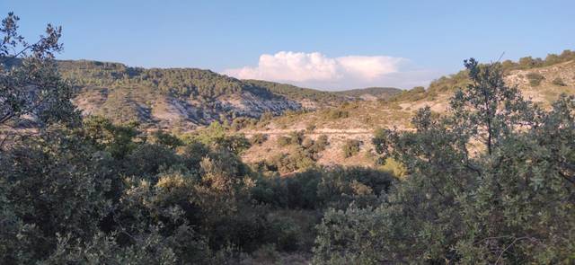 Terreno residencial en Venta en Calle Almendros, 32 en Hontoba