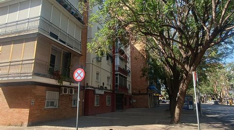 Foto 5 de Piso de alquiler en Alcalde Juan Fernandez, El Plantinar – Avda. La Paz - El Juncal, Sevilla Capital