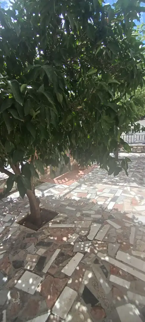 House for sale in Loja, imagen 5