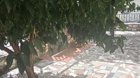 Foto 5 de Casa o xalet en venda a Loja, Granada