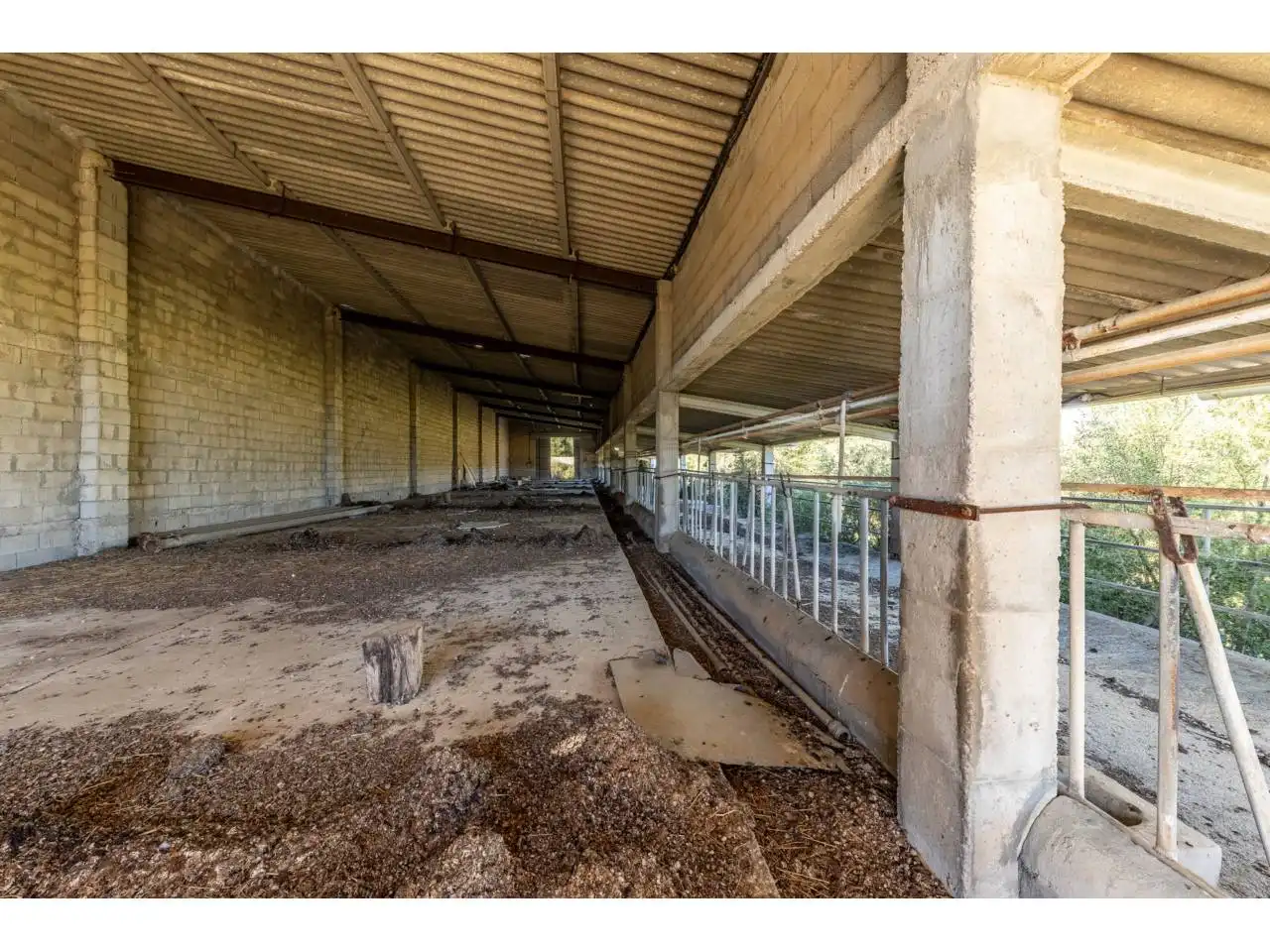 Terreno rustico in vendita a Llucmajor pueblo, imagen 60
