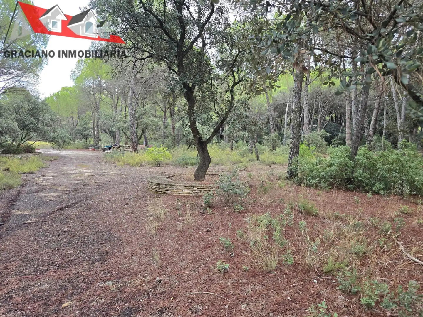 Terreno residenziale in vendita a Pedanías - Extrarradio, imagen 3