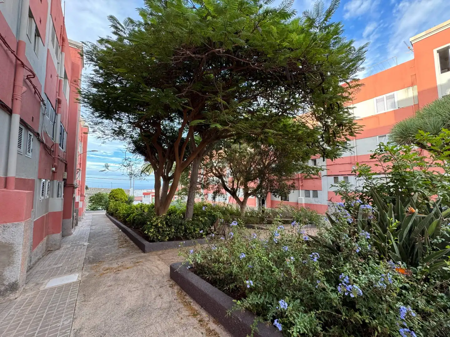 Vista exterior de Piso en venta en Santa María de Guía de Gran Canaria
