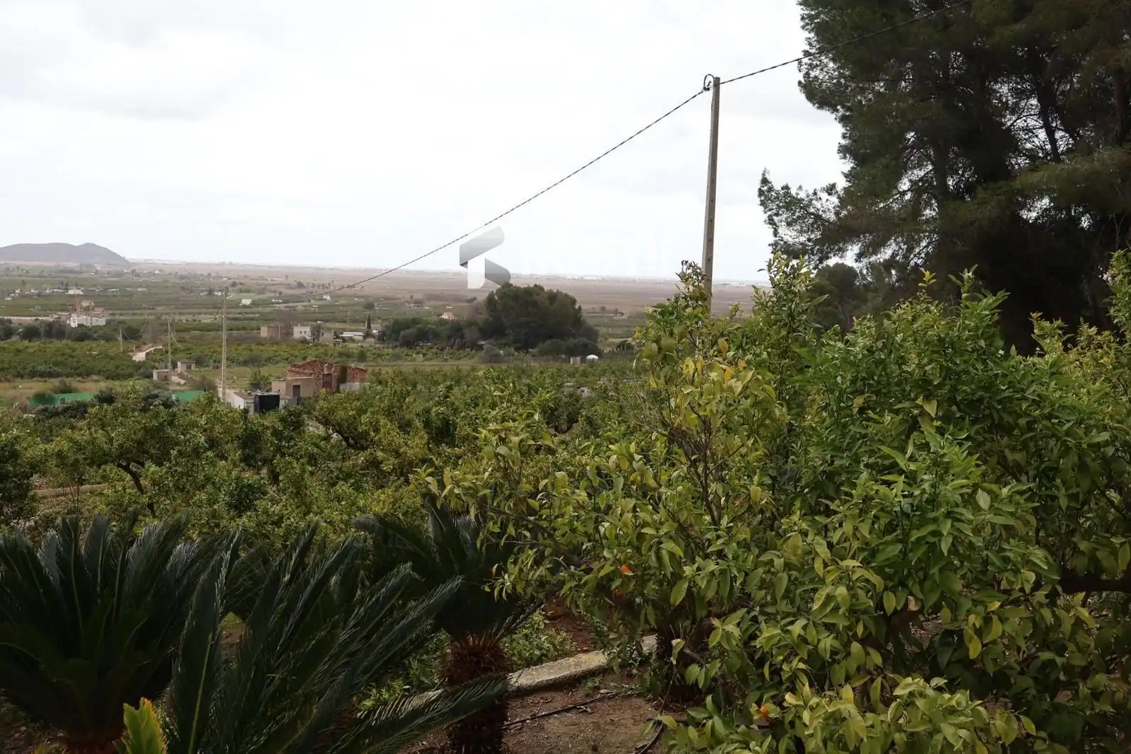 Casa o xalet en venda a Pego
