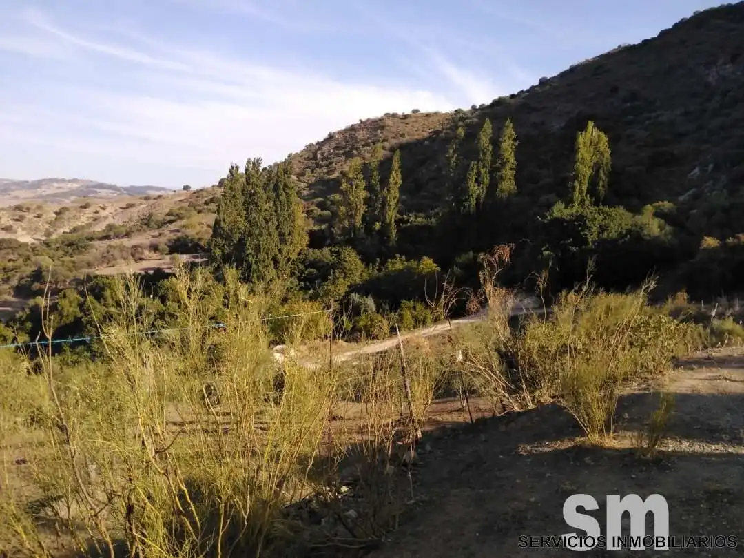 Terreno en venta en Zahara