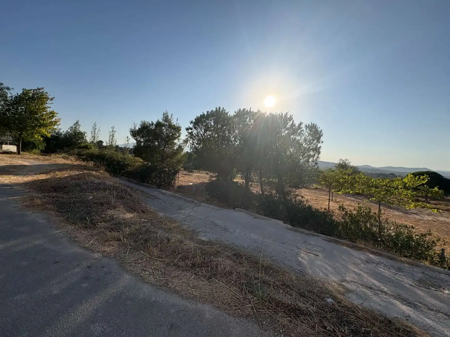 Terrenos y solares en venta en Pliego, imagen 4