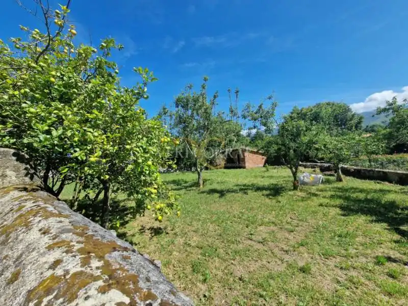 Maison à vendre à Celoriu, imagen 2
