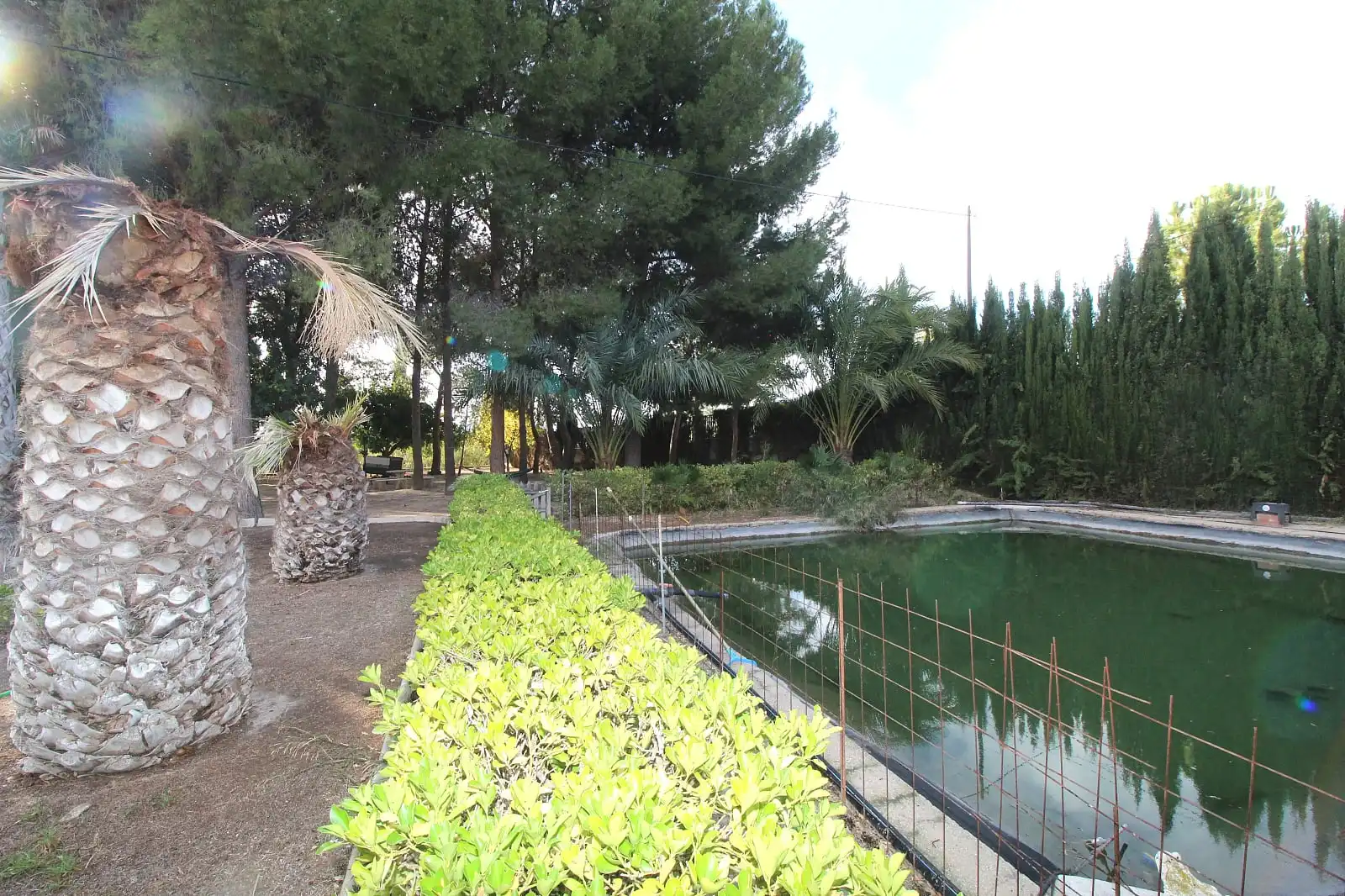 Casa amb terrassa en venda a Campo Alto - Club de Campo, imagen 15