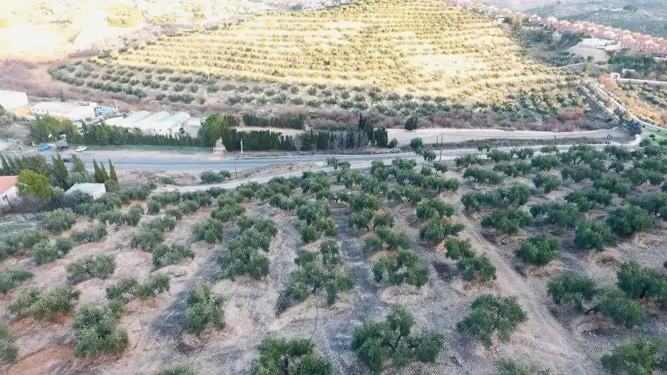 Terreni e lotti in vendita a La Guardia de Jaén, imagen 4