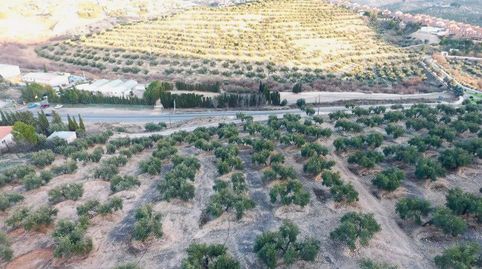 Finca en zona la Yuca, Jaén., imatge 4