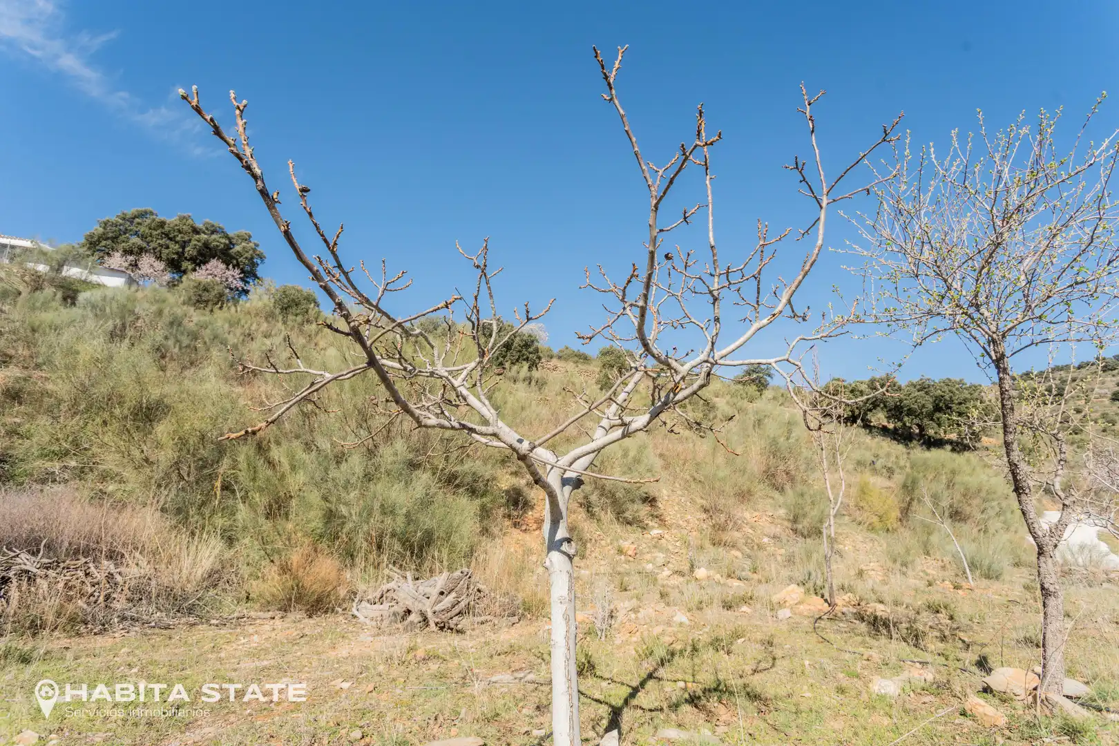 Casa o xalet en venda en Macael amb Jardí privat, Terrassa i Moblat