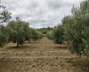 Country house for sale in Ronda