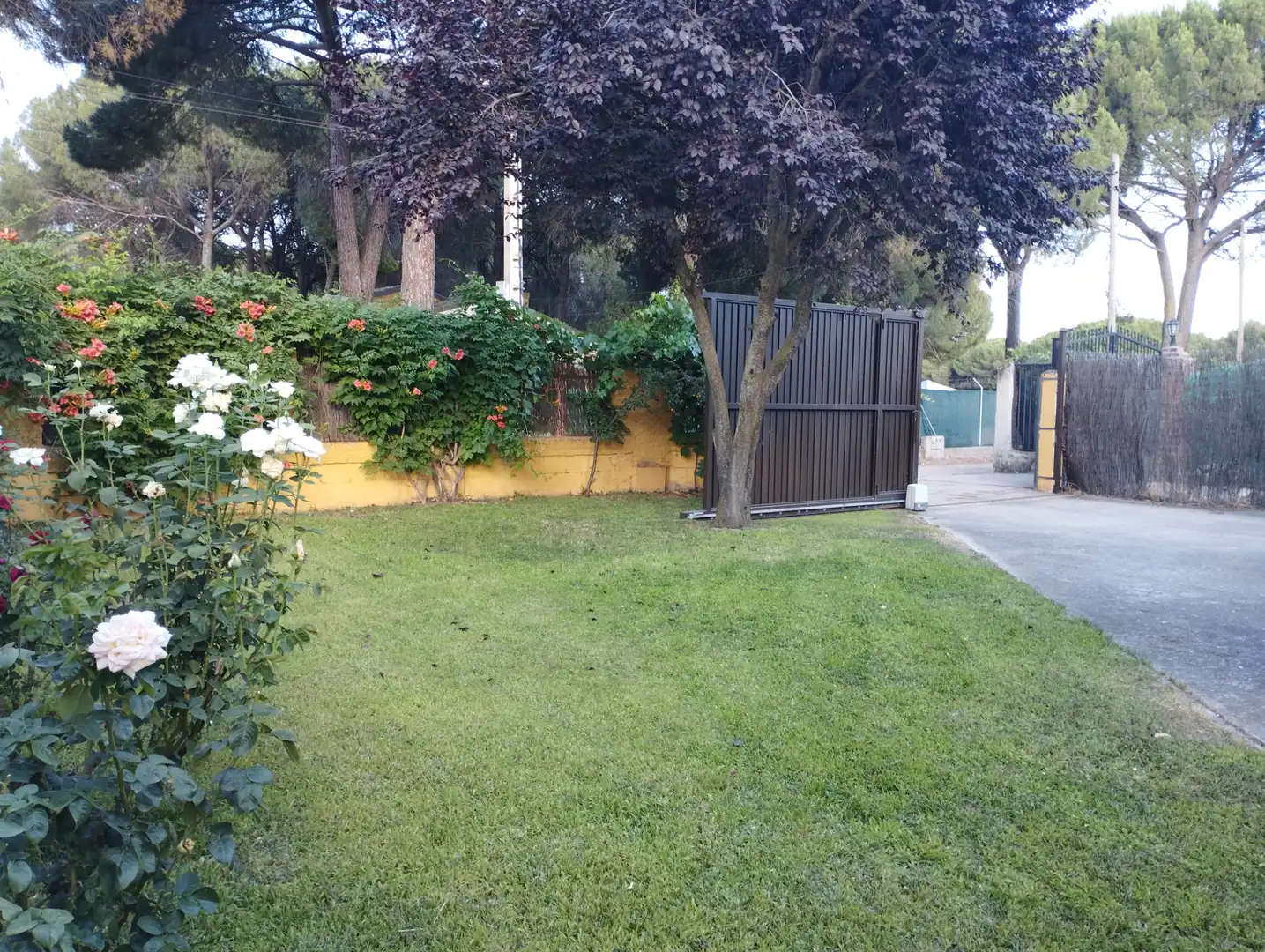 House with garden for sale in Urbanización las Salinas 1, imagen 3