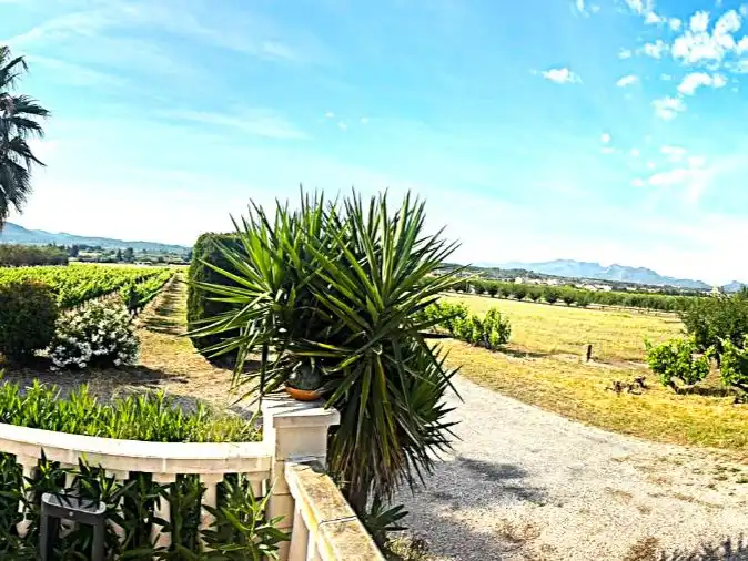 Jardí de Casa o xalet en venda en Ginestar, Tarragona