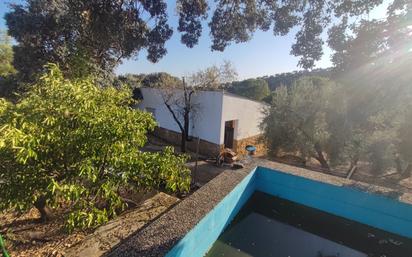 Swimming pool of Country house for sale in Andújar  with Swimming Pool and Balcony