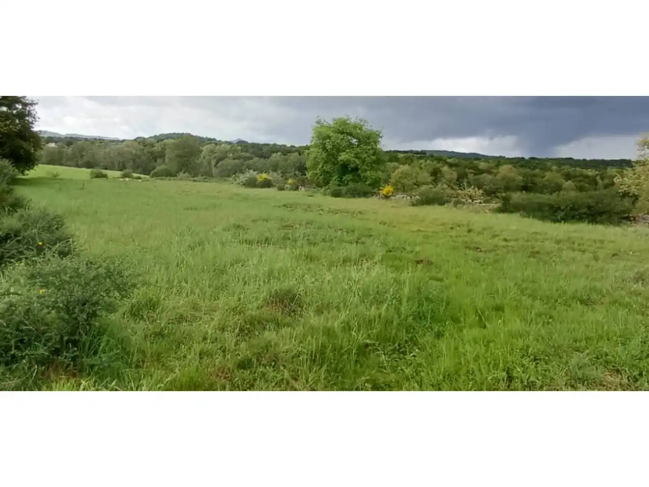 Terreno rustico in vendita a Calle vilaboa