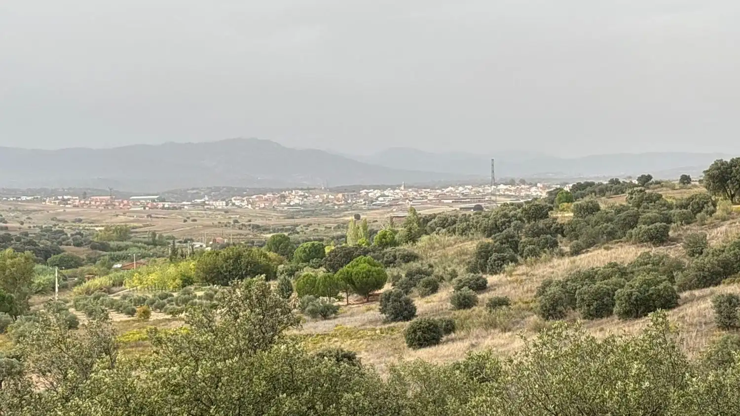 Terreni e lotti in vendita a Almorox 0