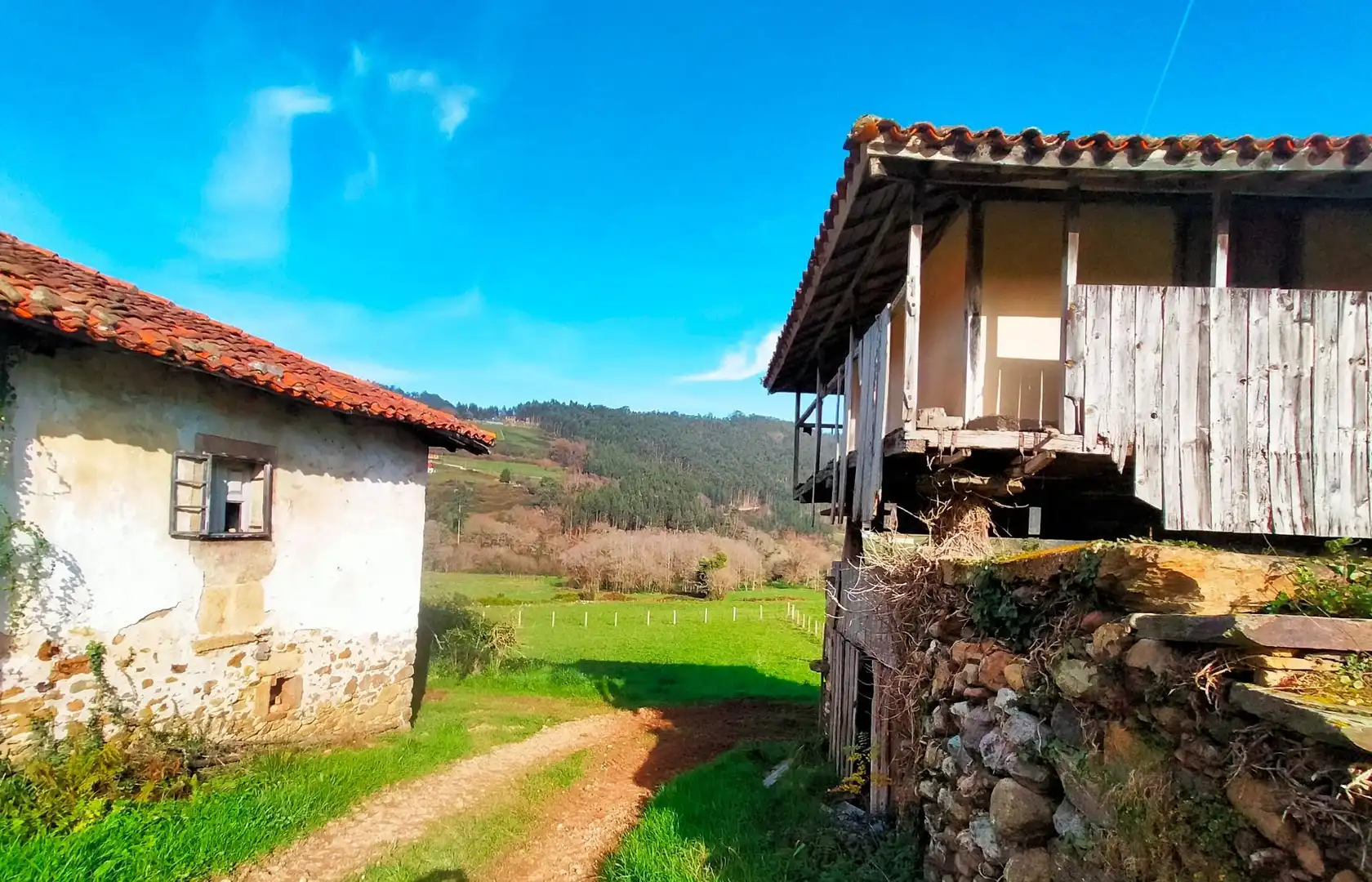 Vista exterior de Finca rústica en venta en Cudillero con Jardín privado