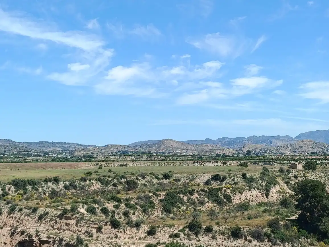 Lands and plots for sale in Mula, imagen 22