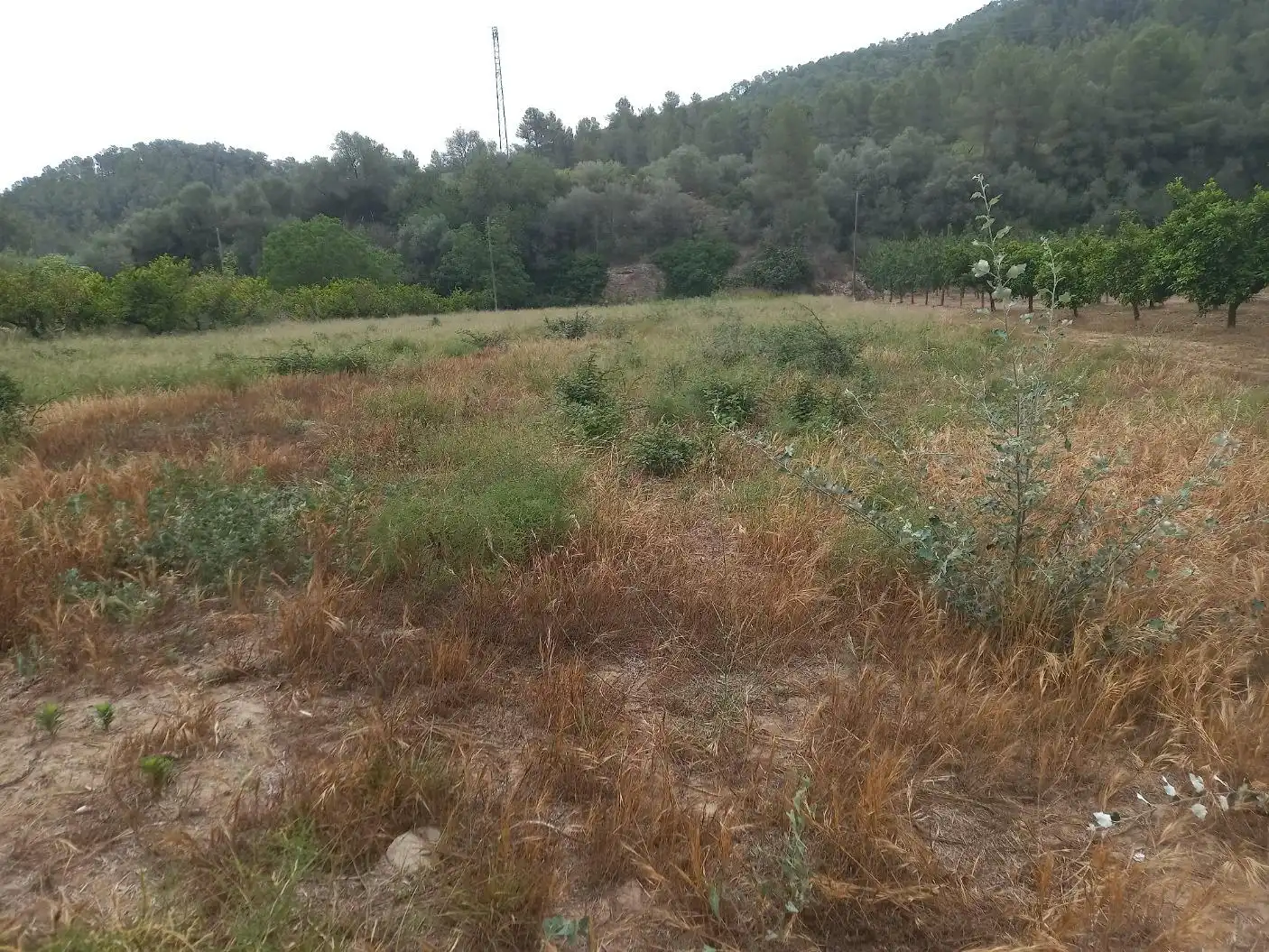 Terrenys i solars en venda a Miravet, imagen 5