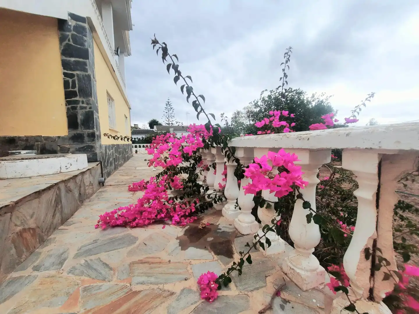 Casa o chalet en venta en Alginet