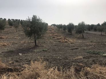 Rustikales Grundstück zum Verkauf in Castro del Río