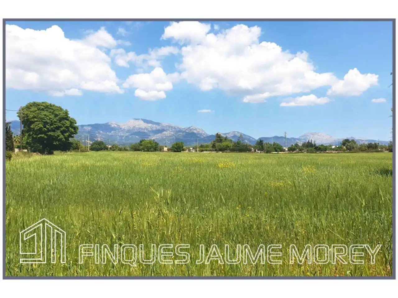 Residential for sale in Inca