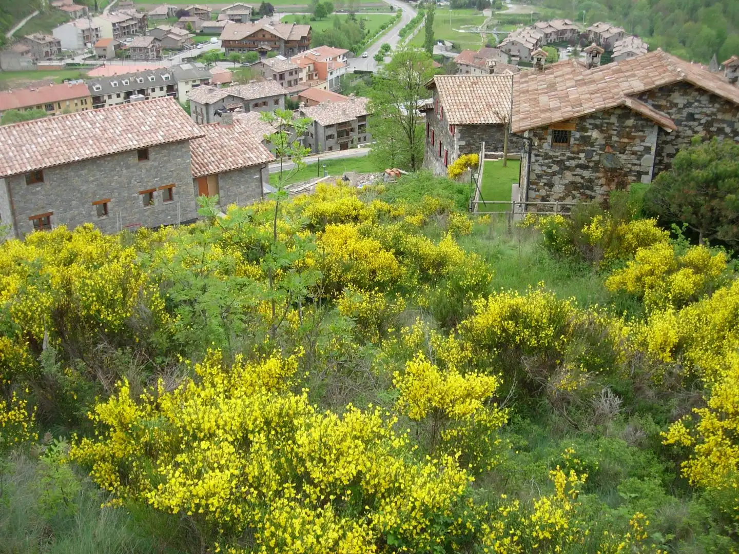 Vista exterior de Residencial en venda en Llanars