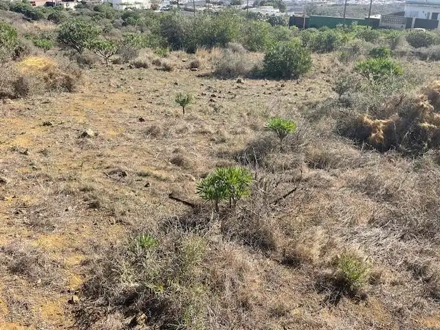 Land for sale in Telde