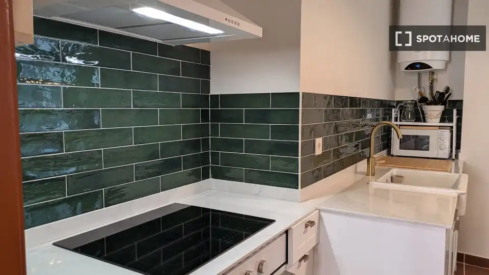 Habitació a Barrio de Uribarri