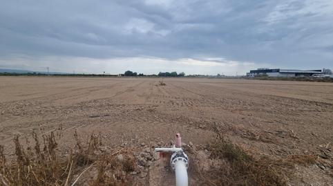 Photo 2 of Industrial land for sale in Lugar Diseminado Cox, 79, Cox, Alicante