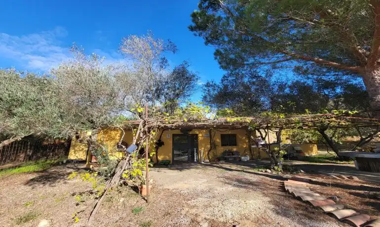 Lands and plots for sale in Garriguella, imagen 11