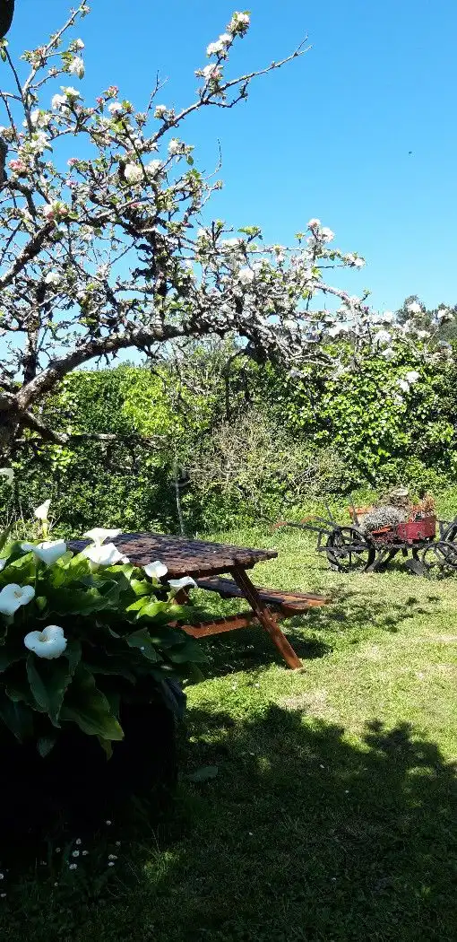 Casa amb jardí de lloguer a Rúa Xaviña 35, imagen 25