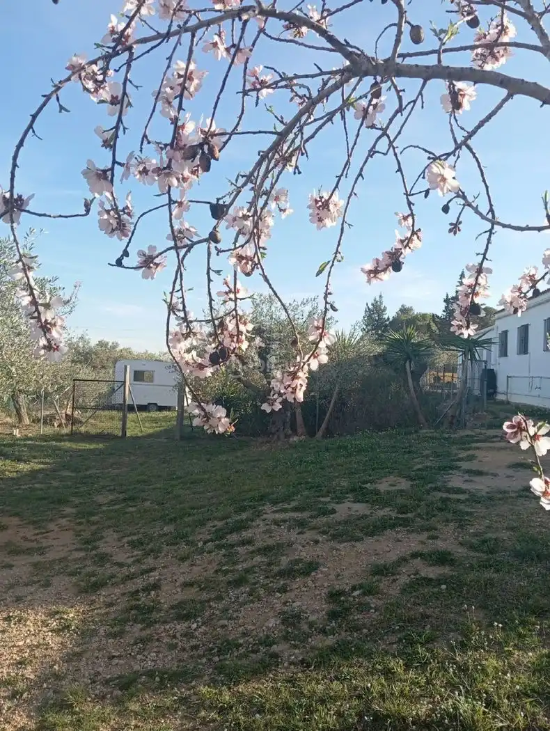 House with garden for sale in Carrer Francesc Gimeno 13, imagen 3