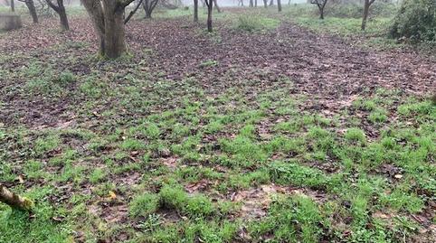 Photo 2 of Residential for sale in Parres, Asturias