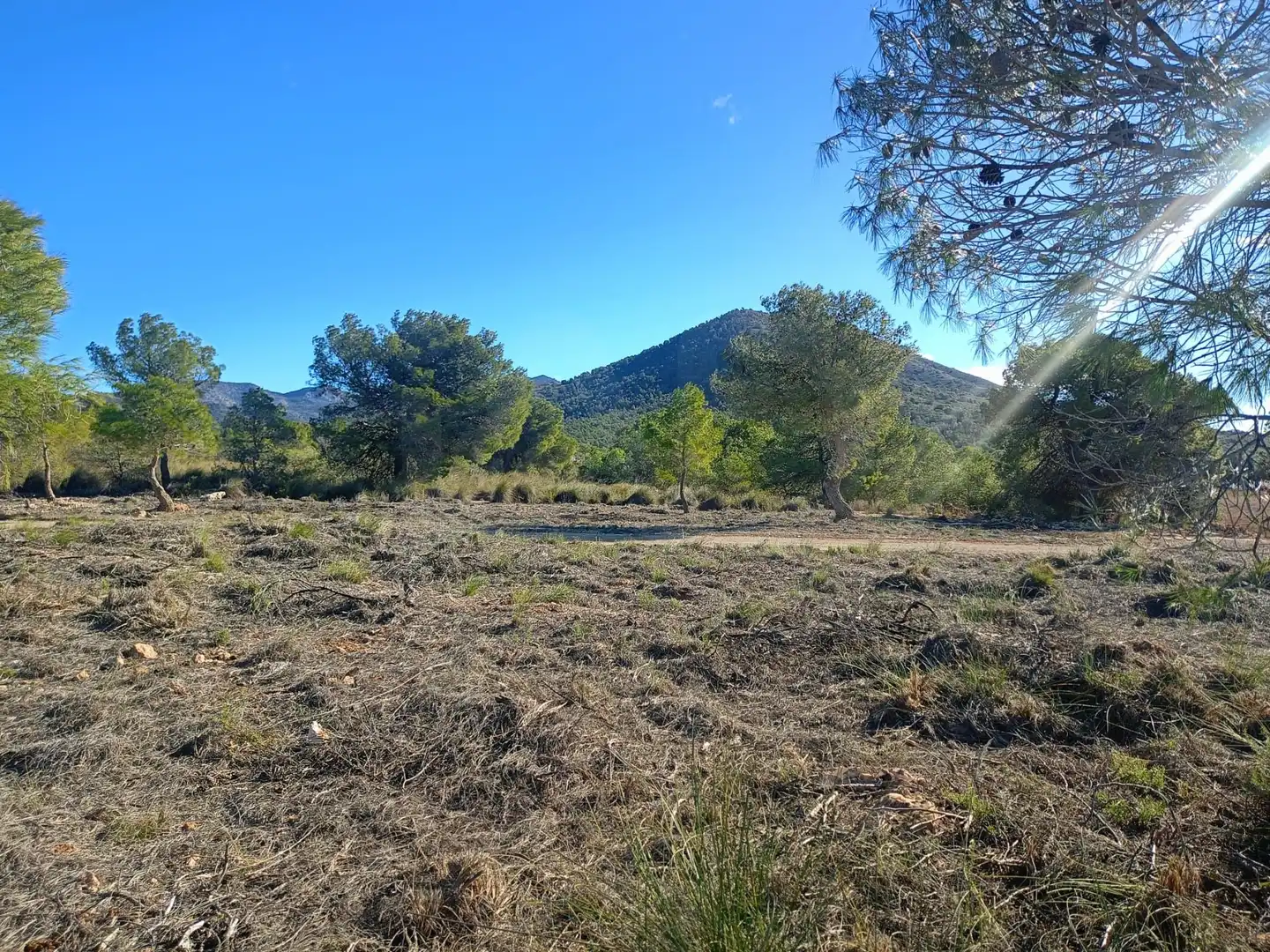 Grundstücke zum Verkauf in Lorca