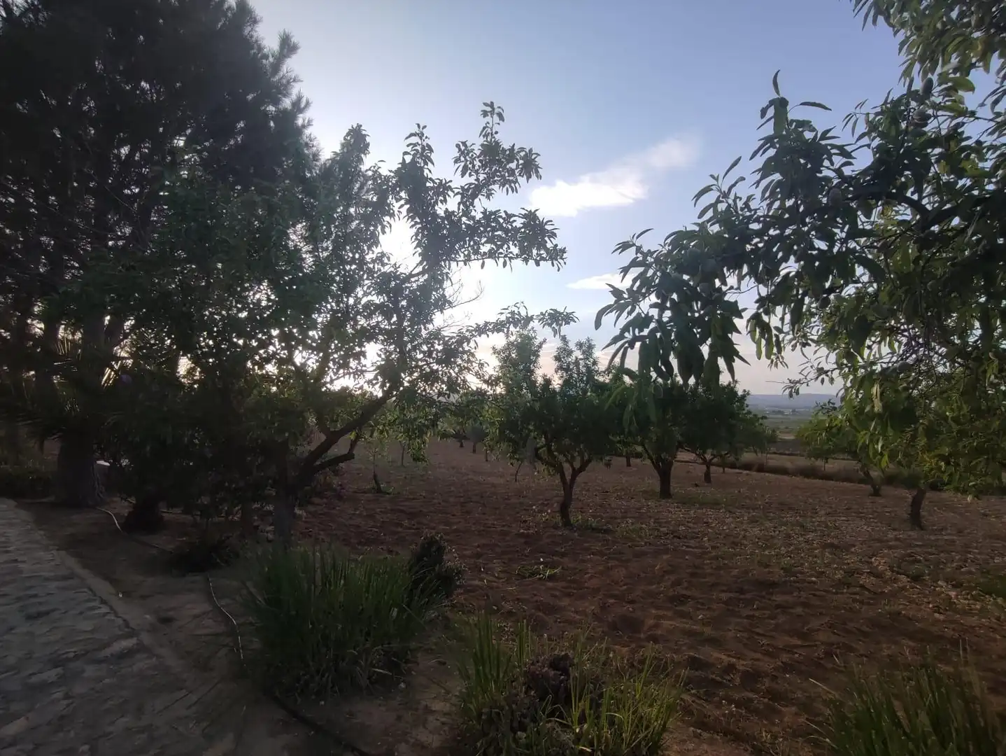 Villa con giardino in vendita a El Pinós / Pinoso, imagen 5